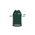 Custom Short Sleeve Tech T - Boston Consulting Group Green w White Sleeves