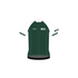 Custom Core Jersey - Boston Consulting Group Green White Sleeves